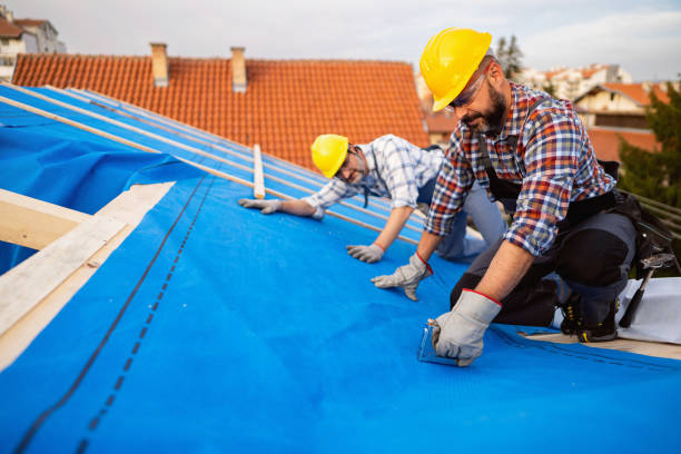 Best Roof Maintenance Services  in Loveland Park, OH