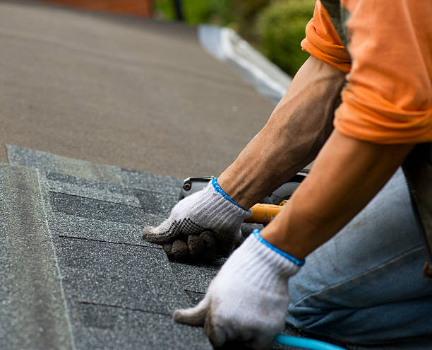 Best Storm Damage Roof Repair  in Loveland Park, OH